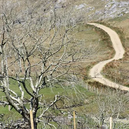Bay Clifden
